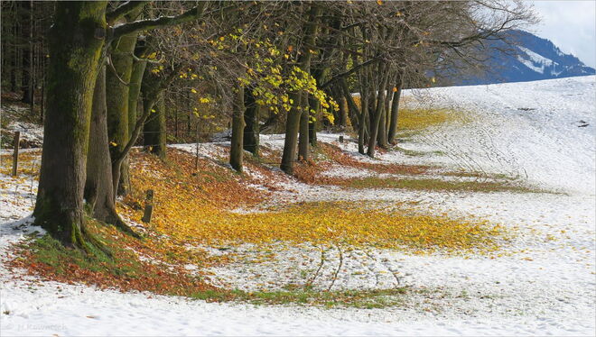 Farbenreicher Herbstwinter