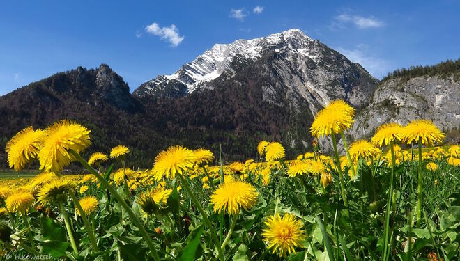 Frühling in Unterburg