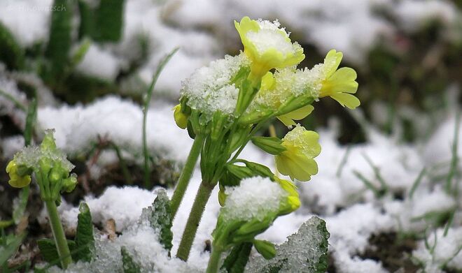 Der Winter gibt sich noch nicht geschlagen