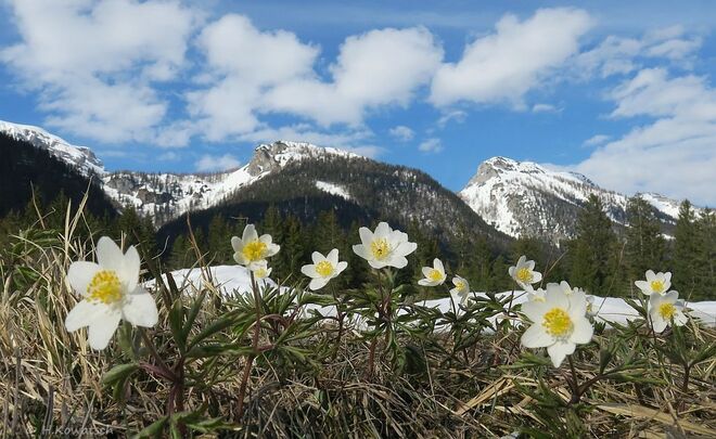 Später Frühlingsbeginn in Tauplitz