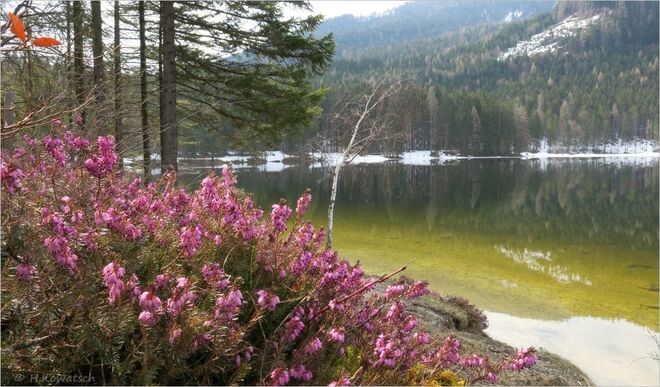 Ein Frühlingstag am Ödensee