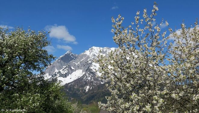 Frühling im Ennstal  IV
