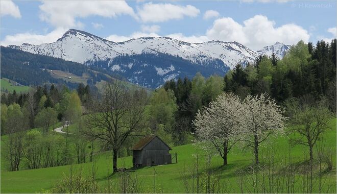 Frühling im Ennstal  III