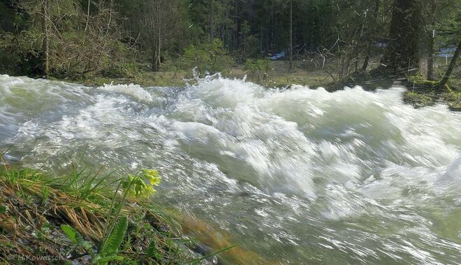 Aus dem Nichts ein reißender Bach