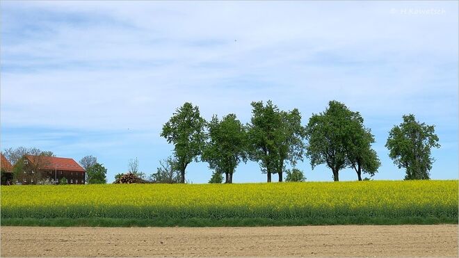 Ein Frühlingstag im Innviertel