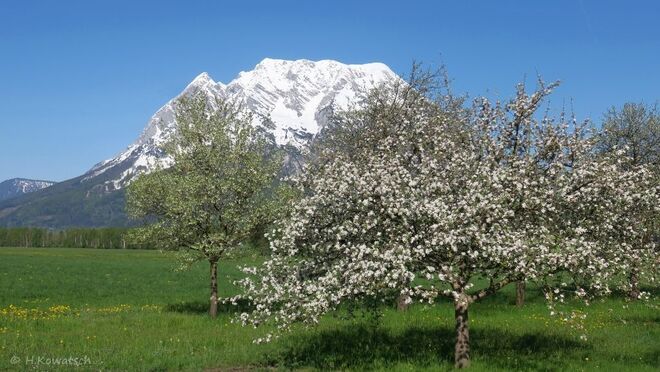 Frühling im Ennstal