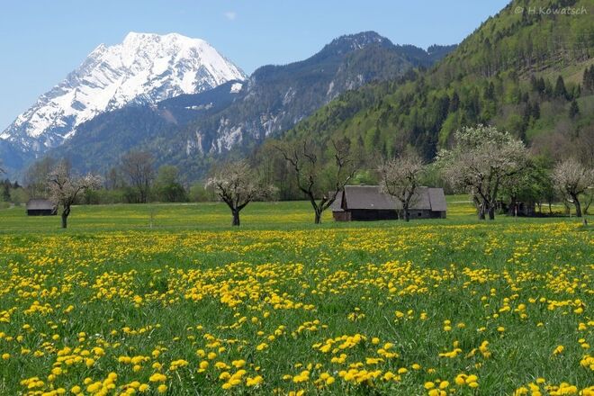 Frühling im Ennstal  II