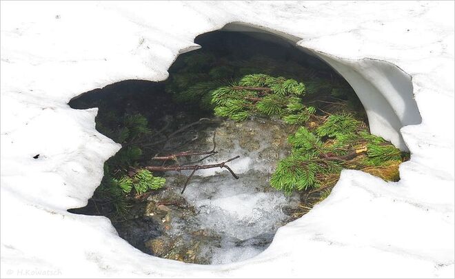 Gebirgsbach unter der Schneedecke
