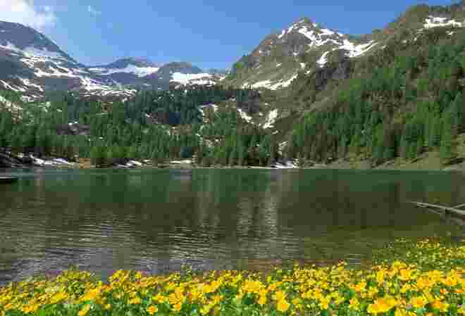 Blumen und Schnee am Duisitzkarsee