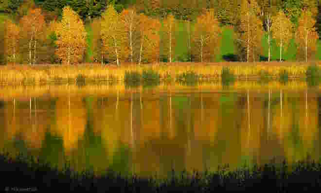 Goldener Oktober