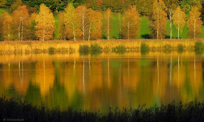 Goldener Oktober