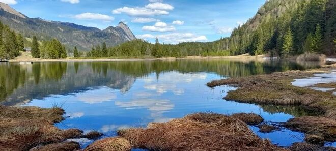 Spechtensee im April