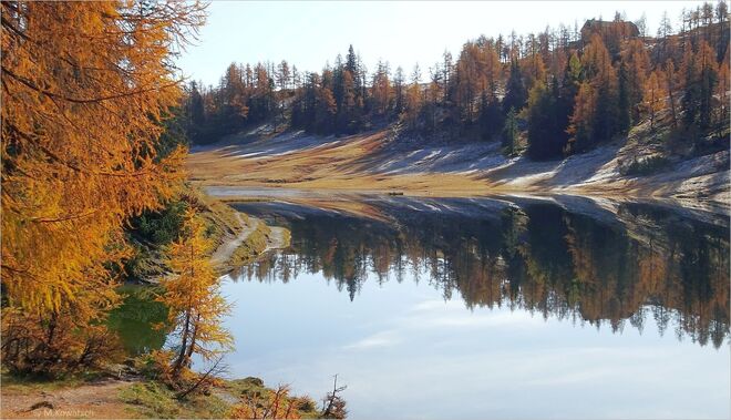 Lärchengold am Großsee