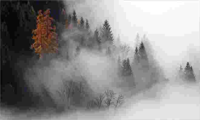 An der Nebelgrenze