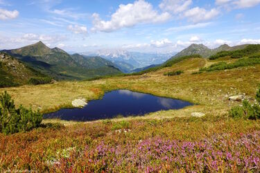 Wandern in der Heimat  II