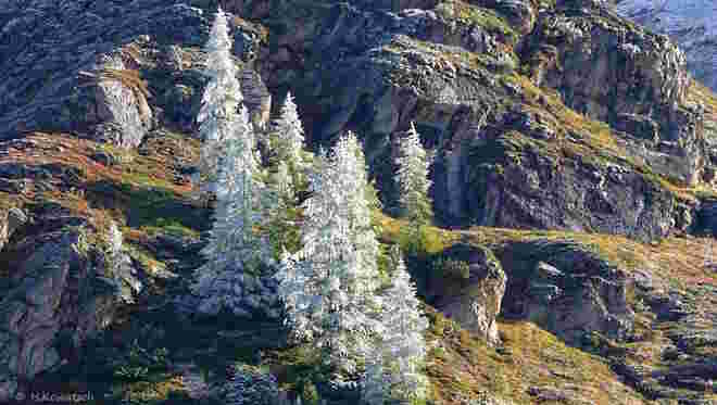 Farbpalette des Herbstes