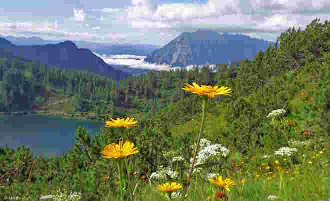 Ausblick auf der Seen-Wanderung