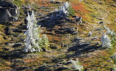 Herbst trifft Winter