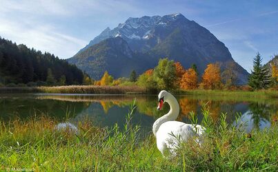 Ein schöner Herbsttag am Schlossteich