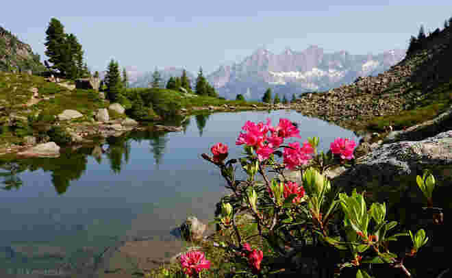 Bergsommer am Spiegelsee