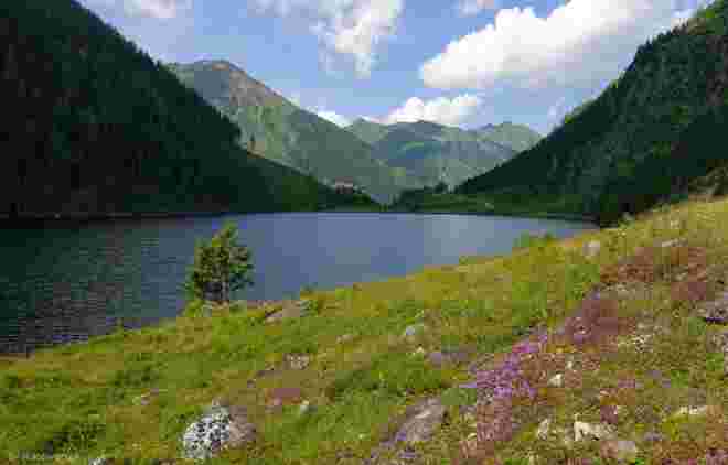 Schatten und Licht am Riesachsee