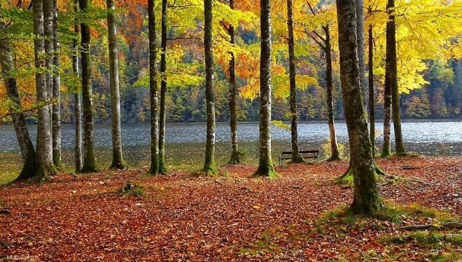 Herbstleuchten im Ausseerland