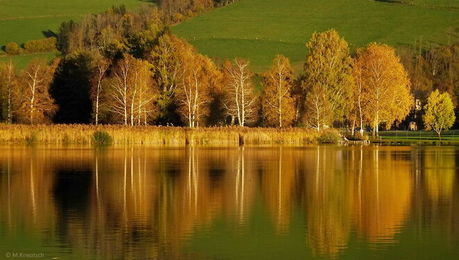 Goldener Oktober am See