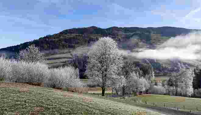 Raureifzauber