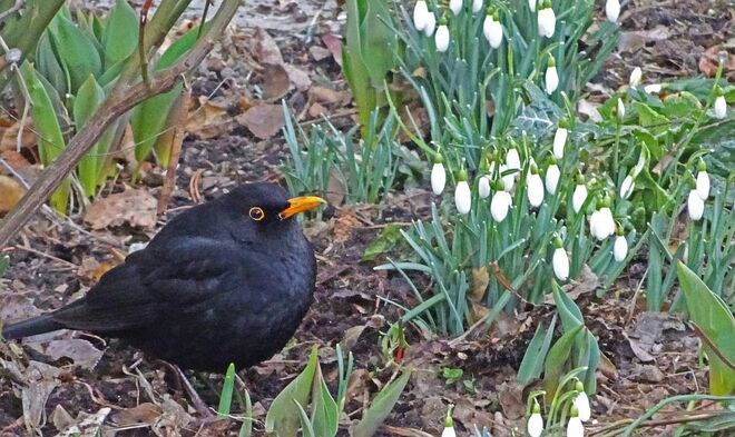 Der Frühling ist da