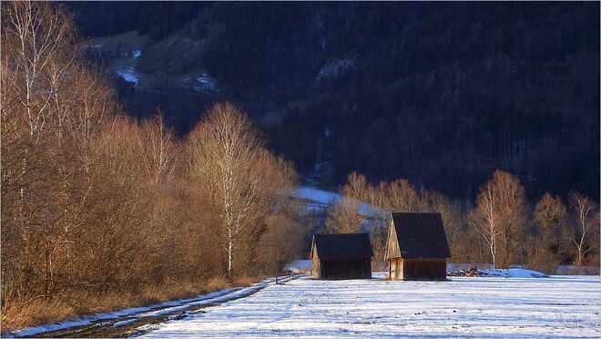 Abendspaziergang im Irdninger Moos