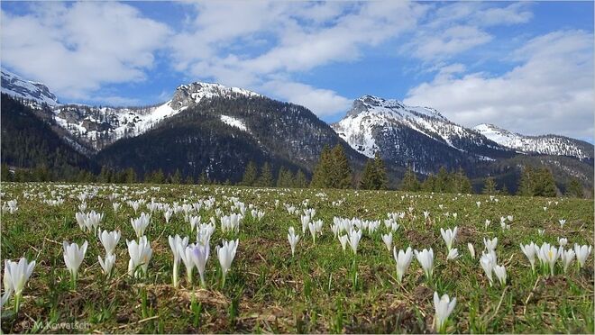 Später Frühlingsbeginn in Tauplitz