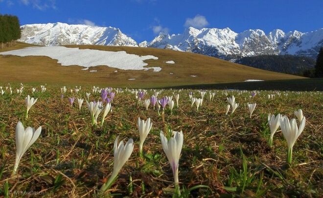 Frühling im Steirischen Salzkammergut
