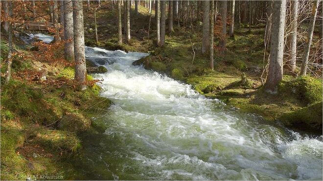 Die Karstqellen Strumern sind wieder aktiv
