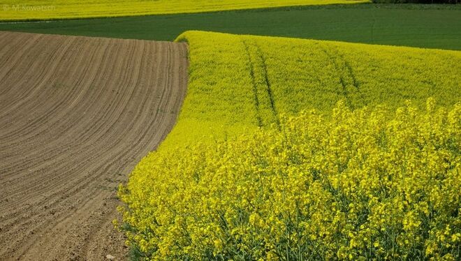 Impression aus dem Innviertel