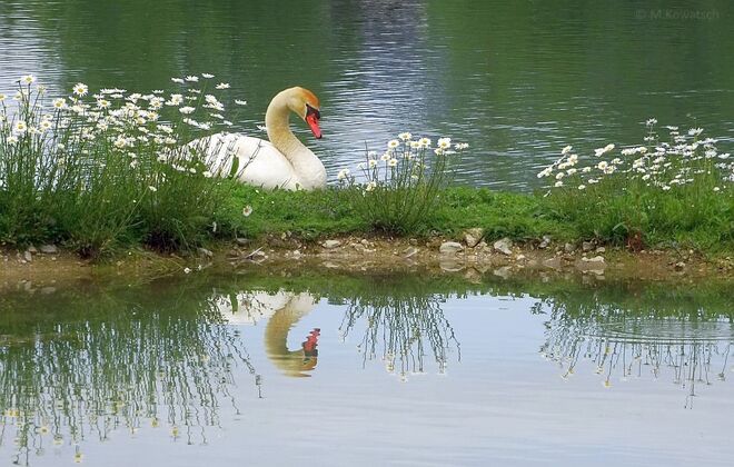 Ein schöner Ruheplatz