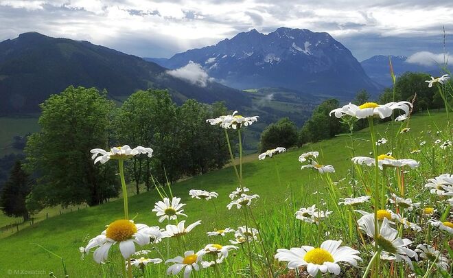 Nach dem Gewitterregen