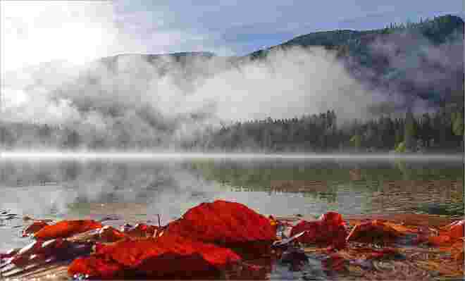 Mystische Morgenstimmung am See