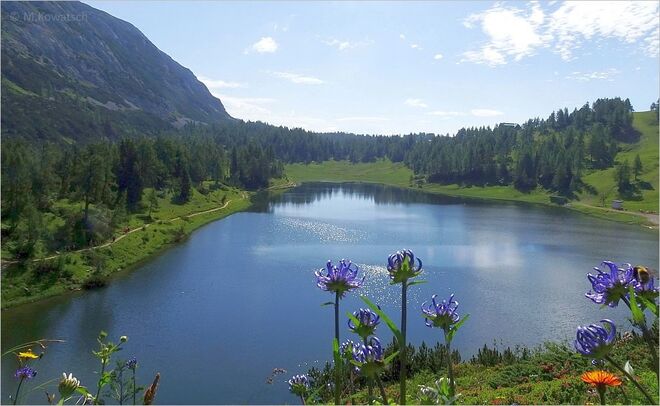 Wandern im Blumenparadies