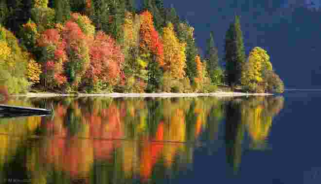 Buntes Herbstleuchten