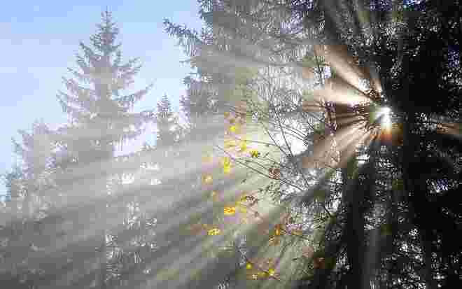 Abschied vom Herbst