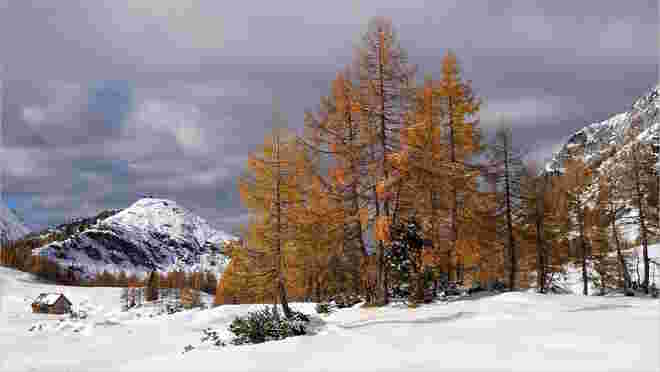 Ein Wintermärchen im Herbst
