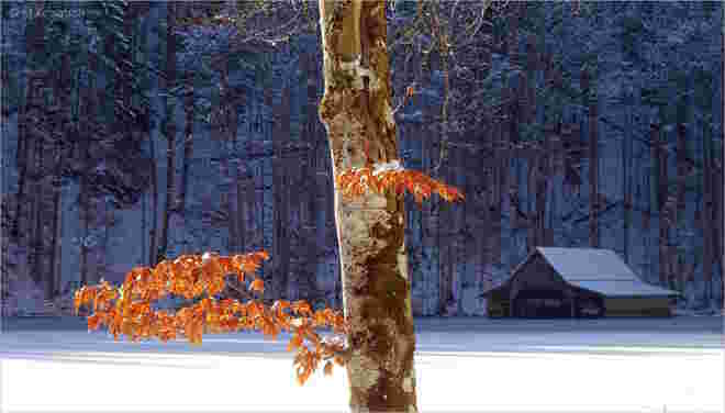 Ein Wintertag am Toplitzsee