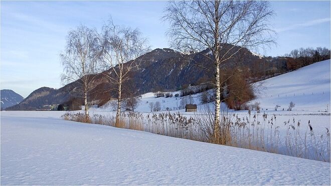 Winterspaziergang querfeldein