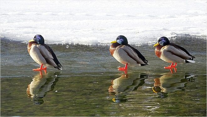 Die Wintersonne genießen