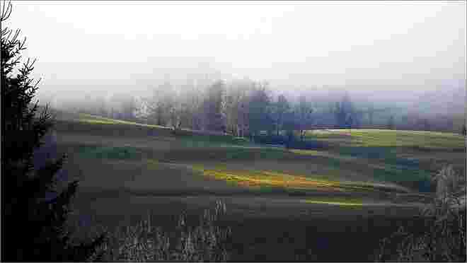 Morgensonne durchdringt den Nebel