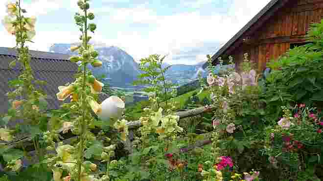 Idyllisch und farbenfroh ...