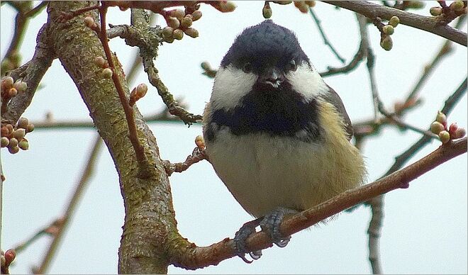 Allen ein frohes Osterfest!