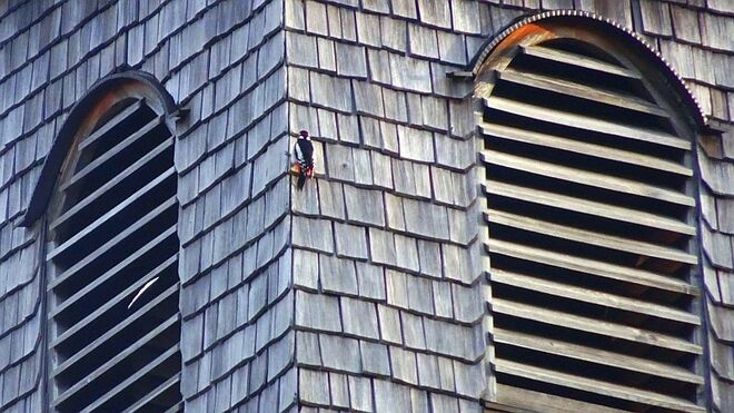 Vom Kirchturm her hört man lautes Klopfen