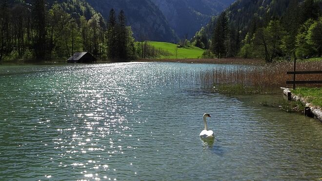 Idyllischer Leopoldsteinersee