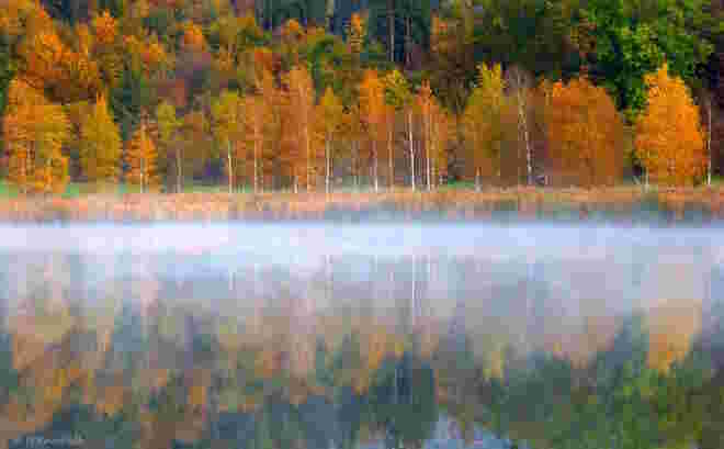 Herbstmorgen am See